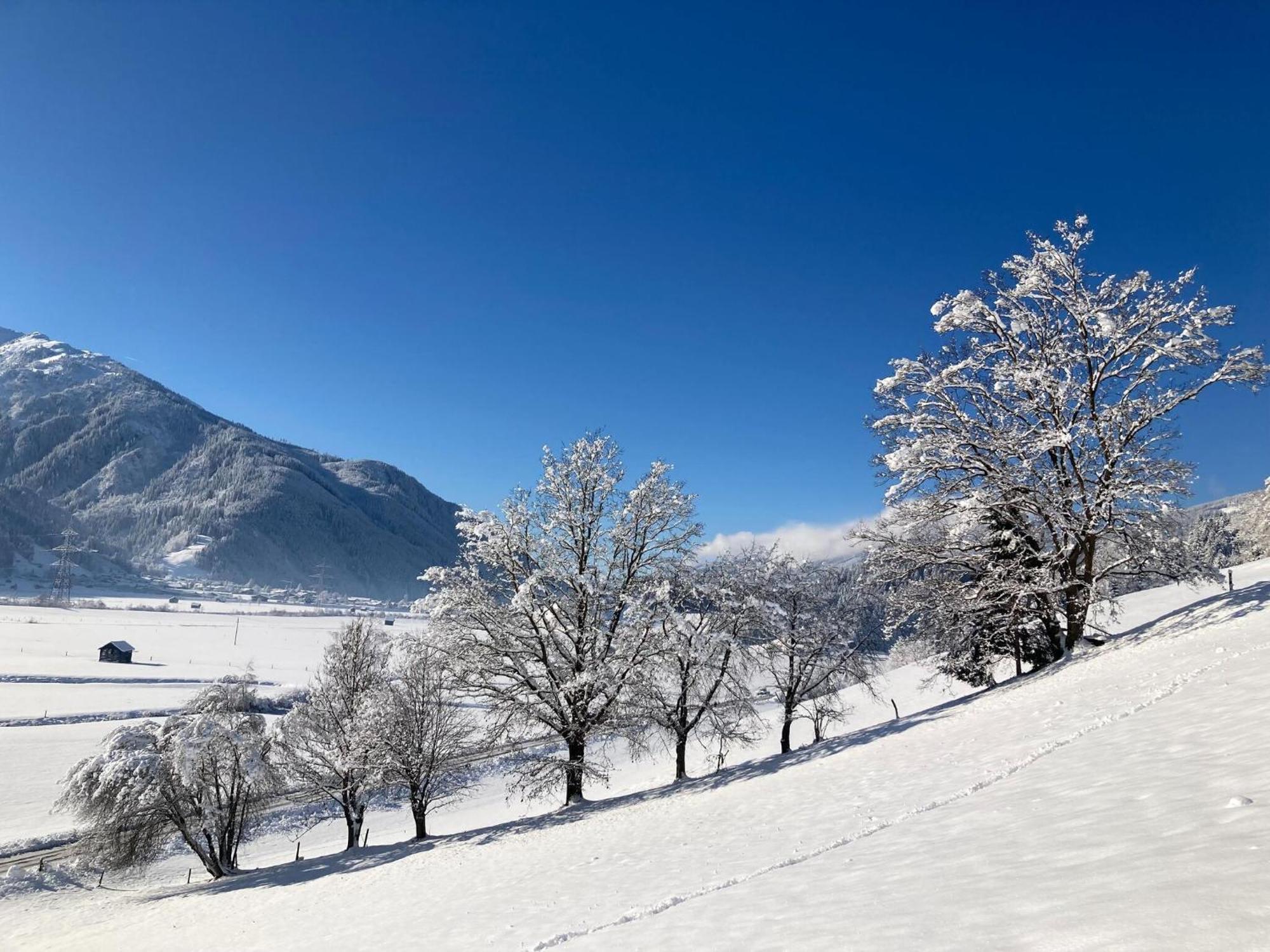 Holiday Apartment In Pinzgau With A Large Terrace ميترسل المظهر الخارجي الصورة