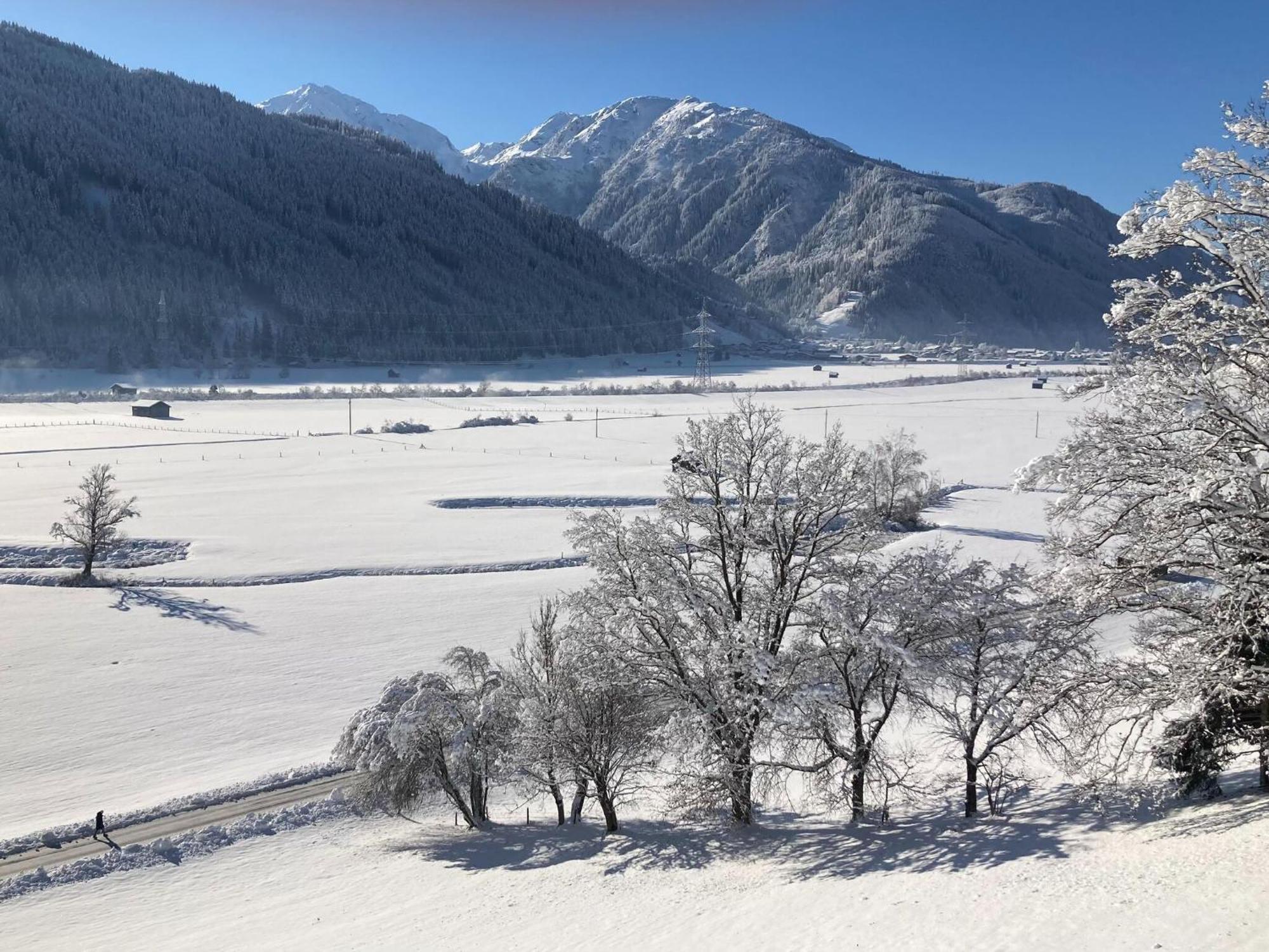 Holiday Apartment In Pinzgau With A Large Terrace ميترسل المظهر الخارجي الصورة